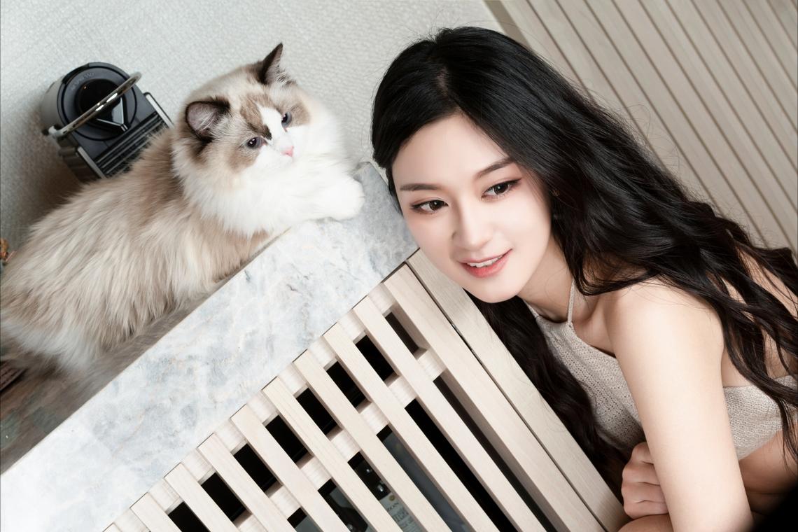 穿戈壁 越冻土 跨海洋 中国高铁驰骋多样环境